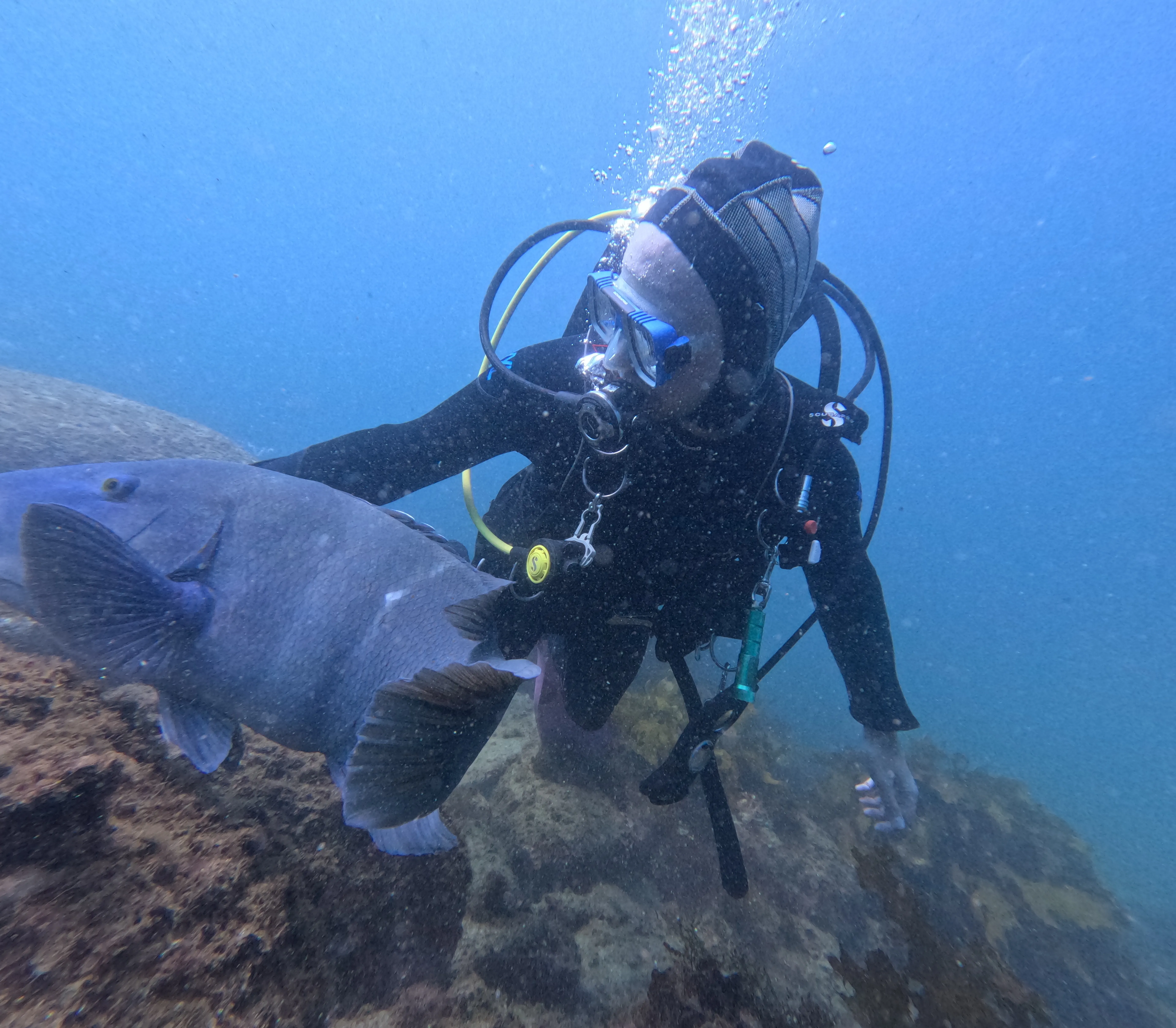 Me with Wally the Blue Grouper.