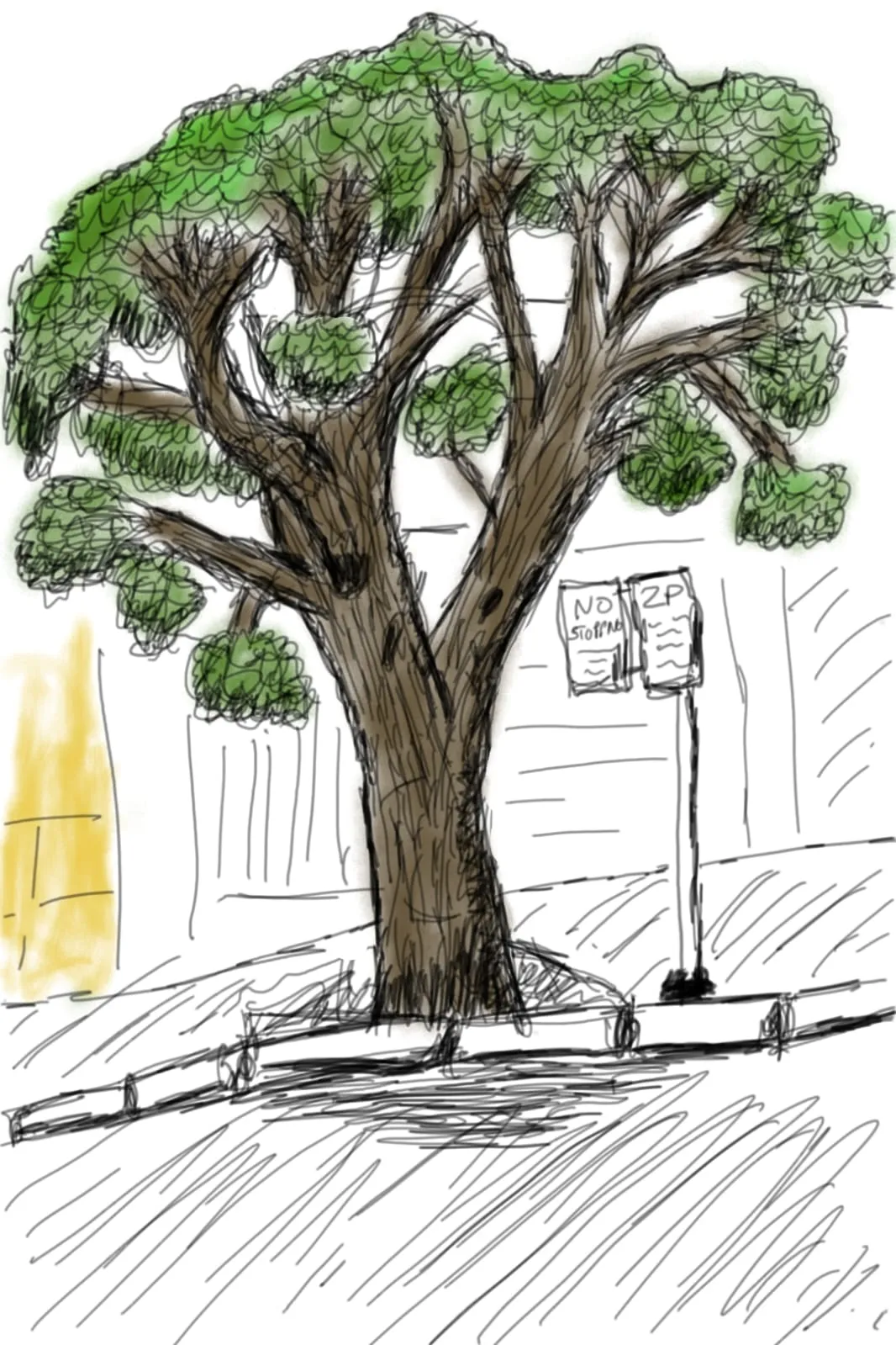 A digital sketch of a tree opposite the coffee shop, made with Samsung PenUp.